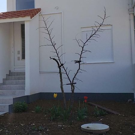 2bd Apartment in Bar Montenegro Buitenkant foto